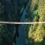 Capilano Suspension Bridge Park