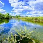Saskatoon Forestry Farm Park & Zoo