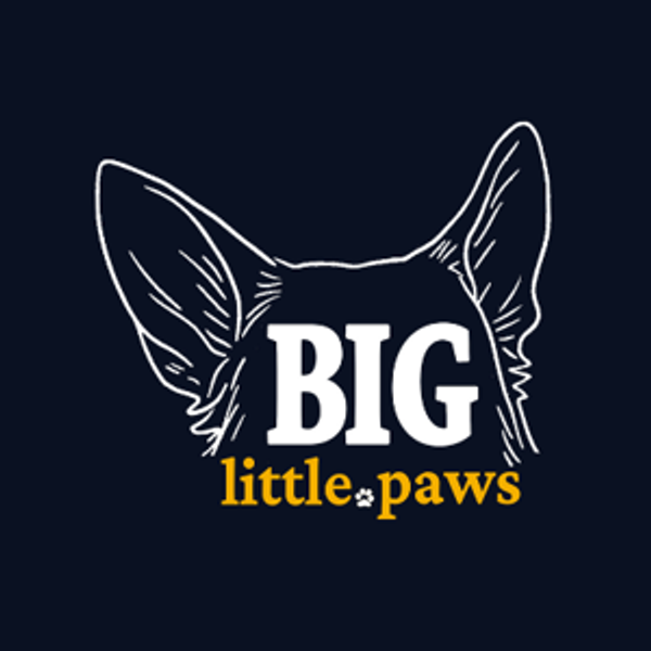 Our Big Little Paws Facility Fund