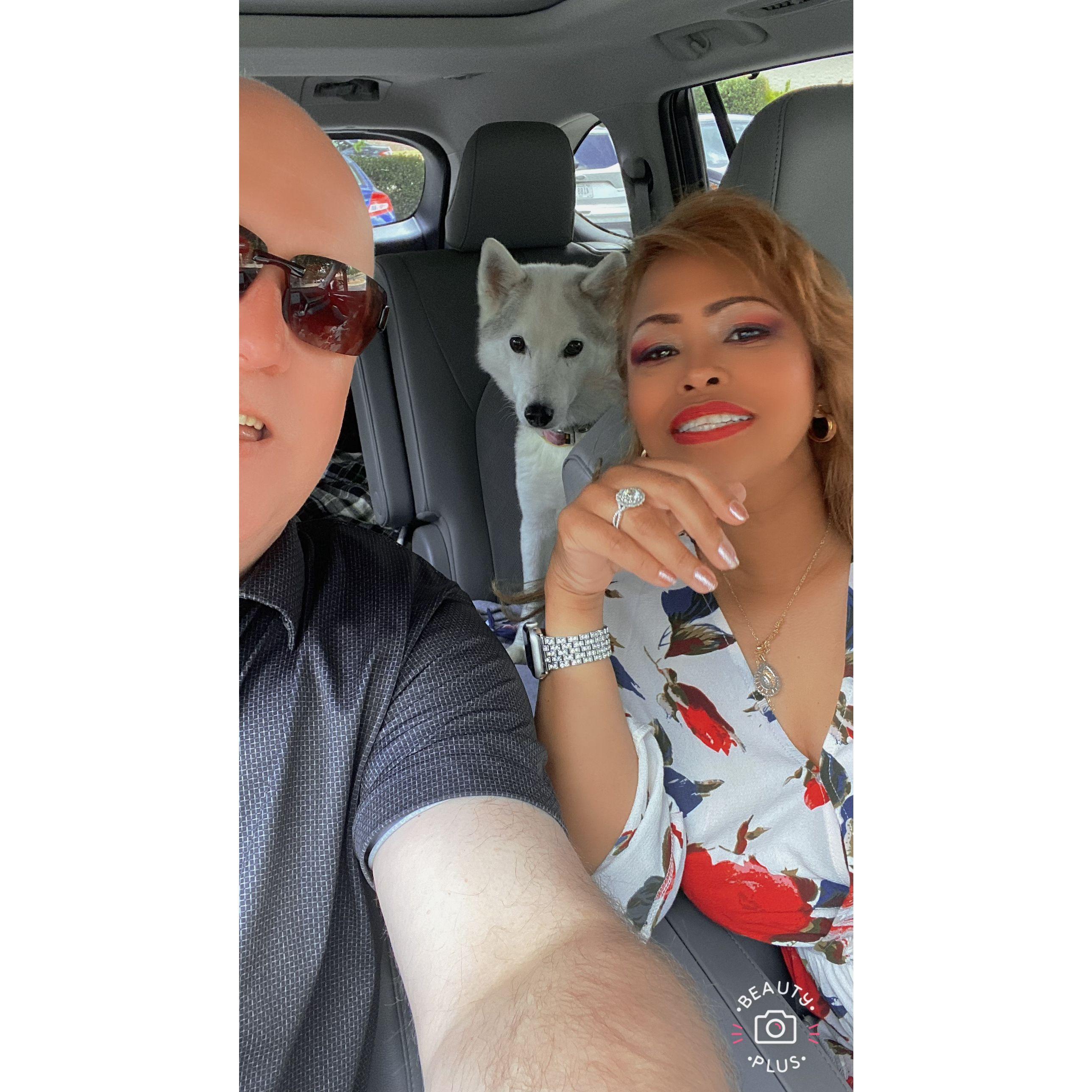 Car adventure with Foxy who LOVES Iliana.