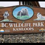 Kamloops Wildlife Park