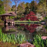 The Robins Nature Center at Maymont