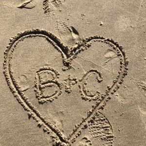 14-Day Hawaii Cruise Honeymoon Fund