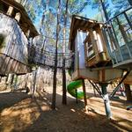 Museum of Life and Science