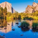 Visit a National Park & Drive Big Sur