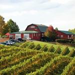 Carter Mountain Orchard and Country Store