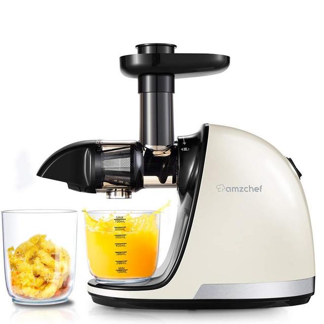 Slow Juicer,AMZCHEF Slow Masticating Juicer Extractor Professional Machine with Quiet Motor/Reverse Function,Cold Press Juicer with Brush,for High Nutrient Fruit & Vegetable Juice