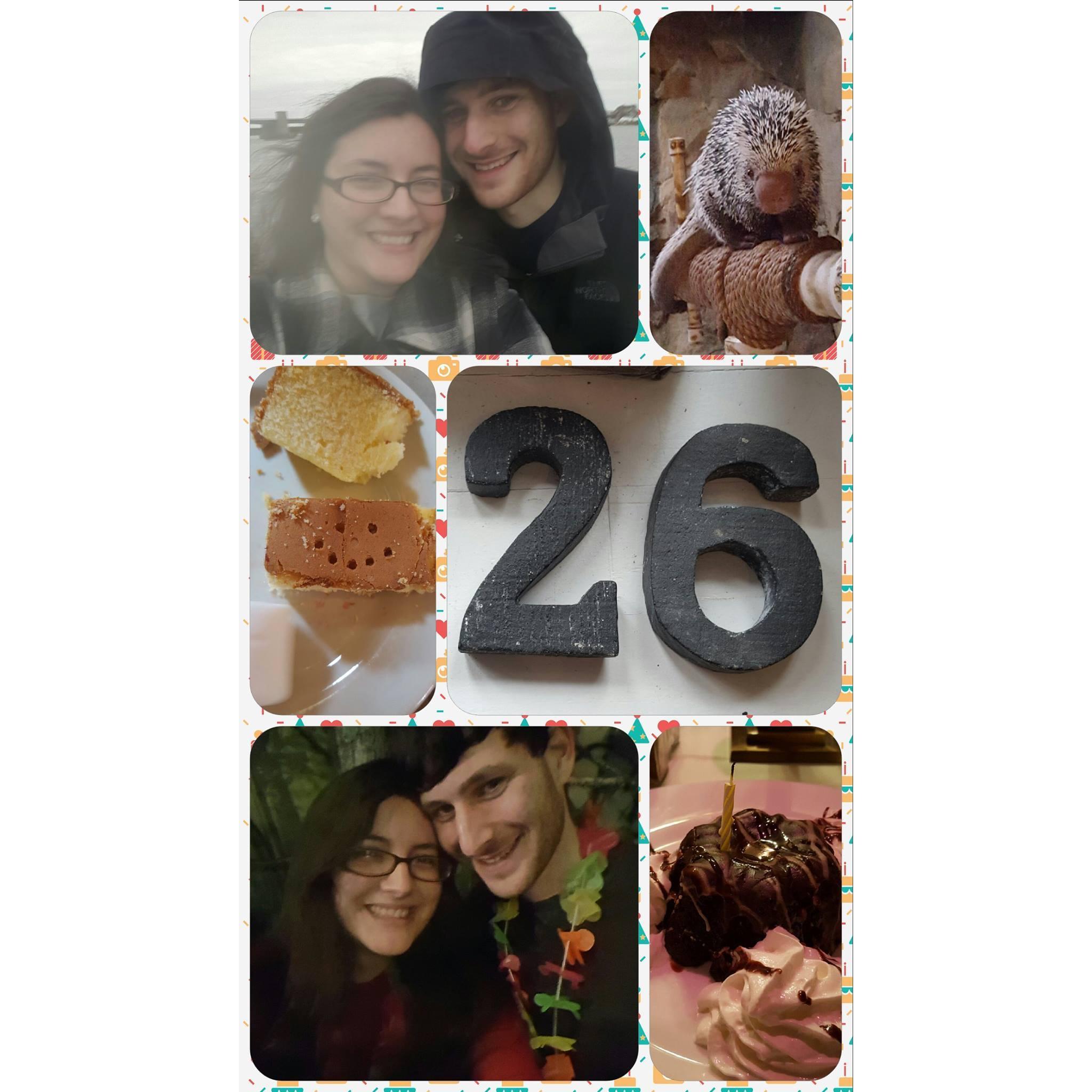 A collage from my birthday in 2017, with some pictures from the Fun in the Tropics event at Franklin Park Zoo