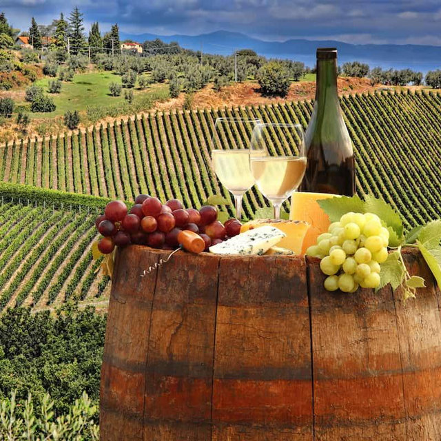 Wine tasting in Tuscany