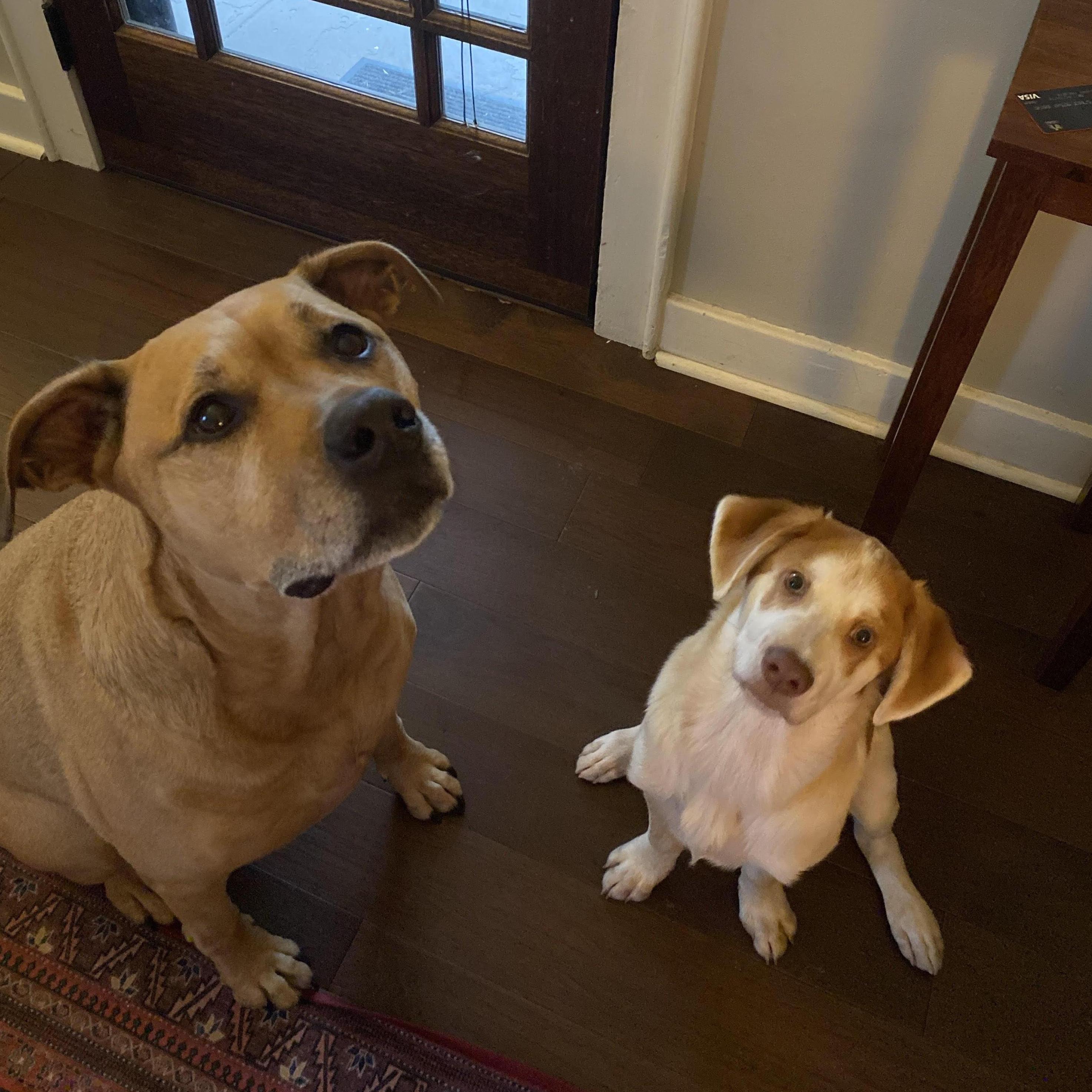 Lola and Emmett