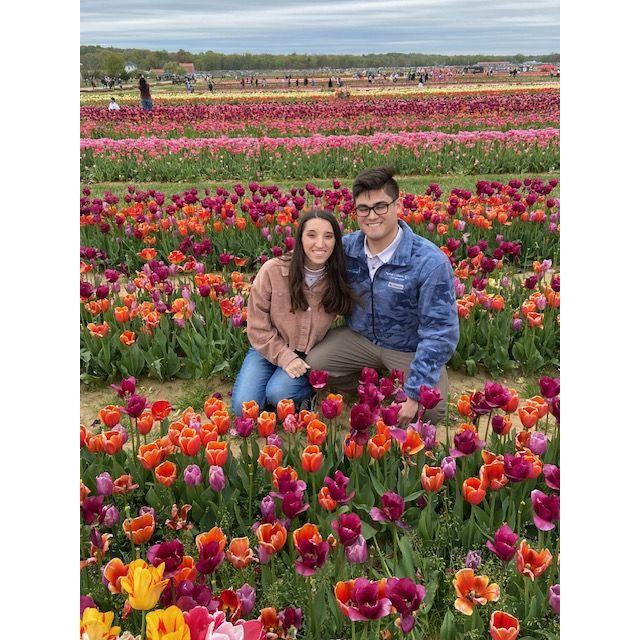 Tiptoe through the tulips.