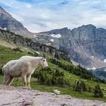 Glacier National Park