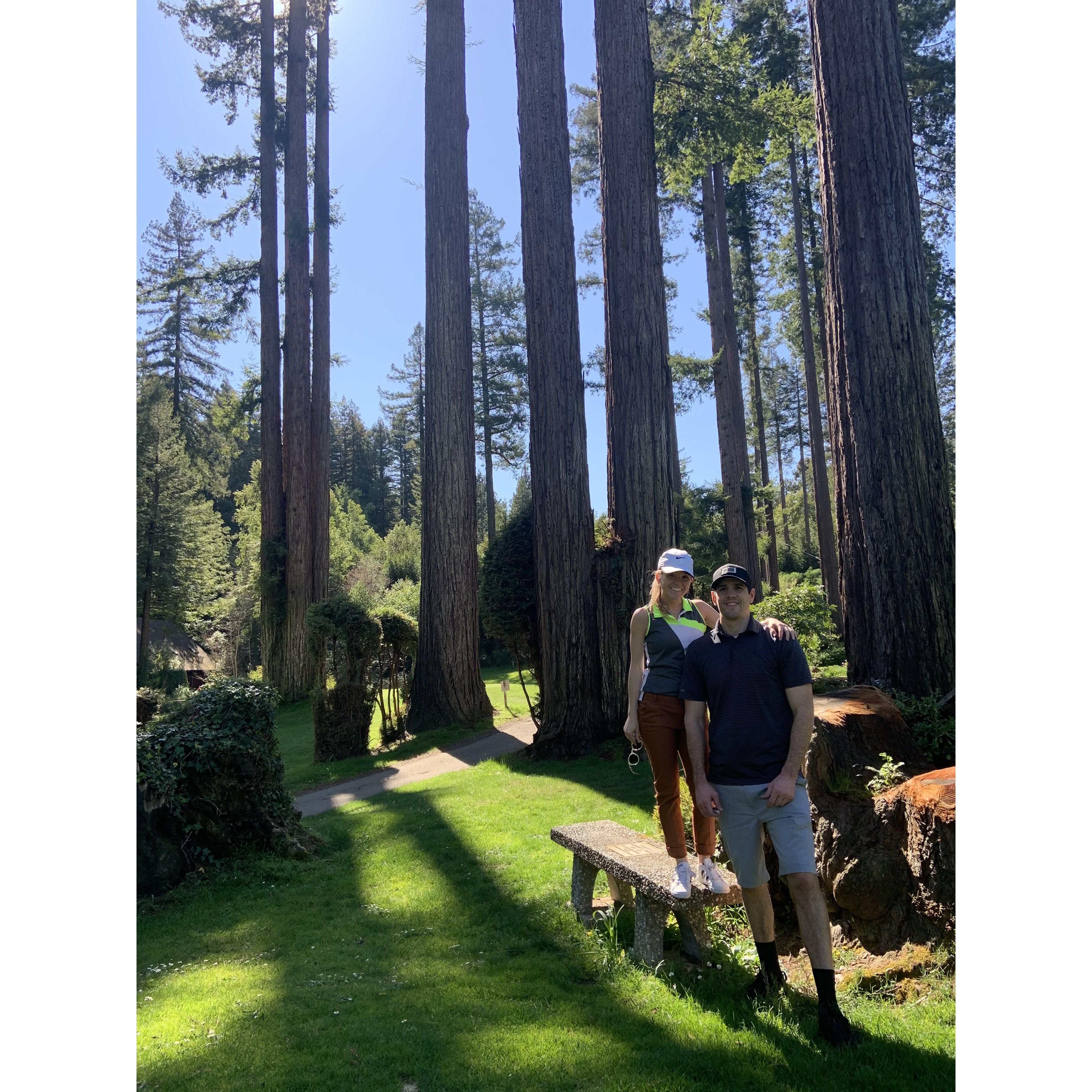 2020- That time we golfed in the Redwoods