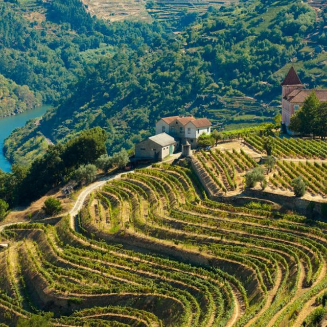 Private Wine Tour in Duoro Valley, Portugal