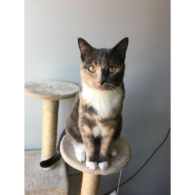 Our Luna girl