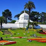Golden Gate Park