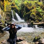 Virgin Creek Waterfalls