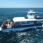 Whale watching