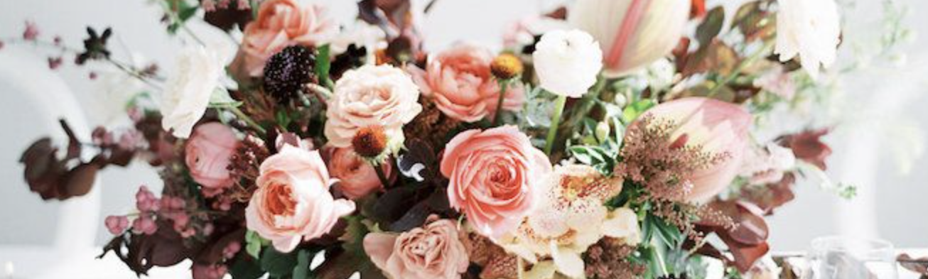The Wedding Website of Kimberly Wiltshire and Luke Larkin