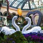 Bellagio Conservatory & Botanical Gardens