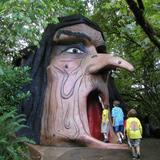 Enchanted Forest