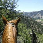 Go Horseback Riding with Harmels on the Taylor