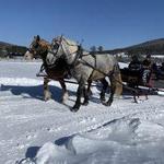 Billings Farm & Museum
