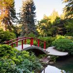 Washington Park Arboretum UW Botanic Gardens