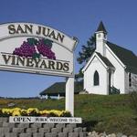San Juan Vineyard
