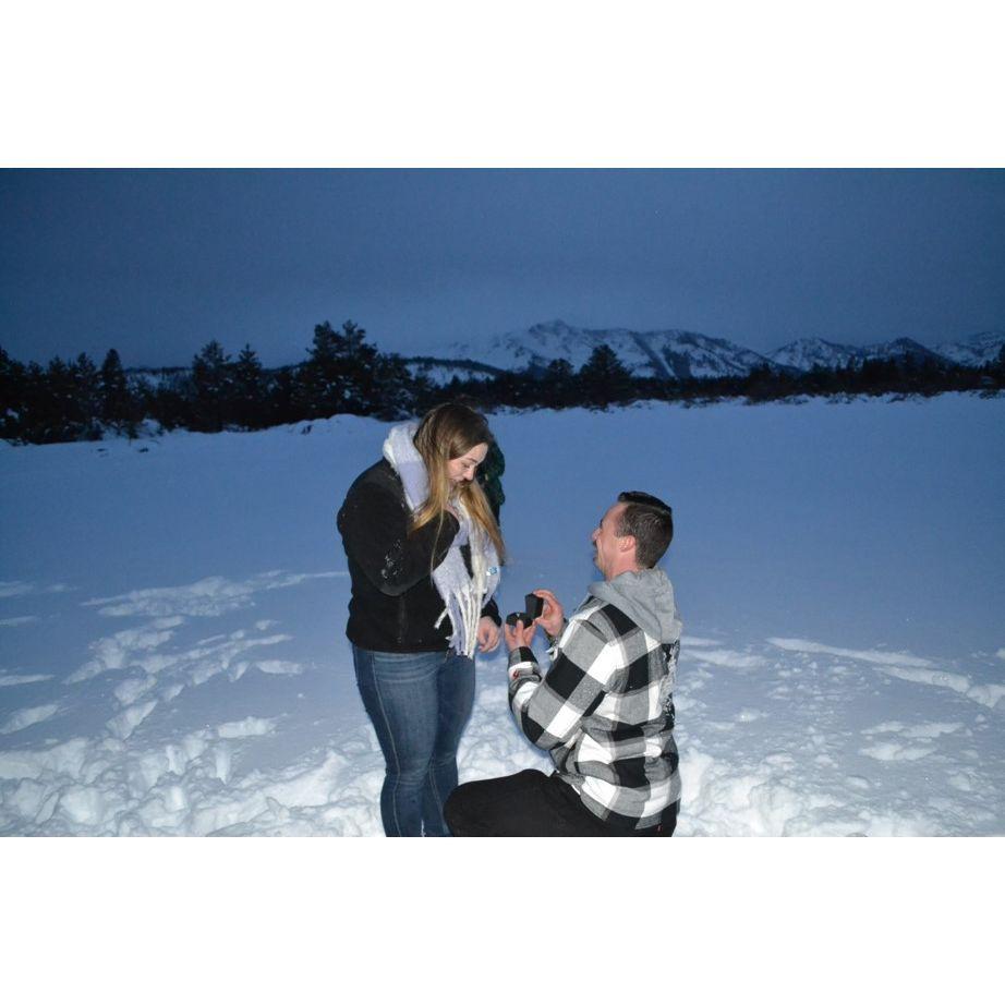 The Proposal