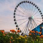 Grandscape