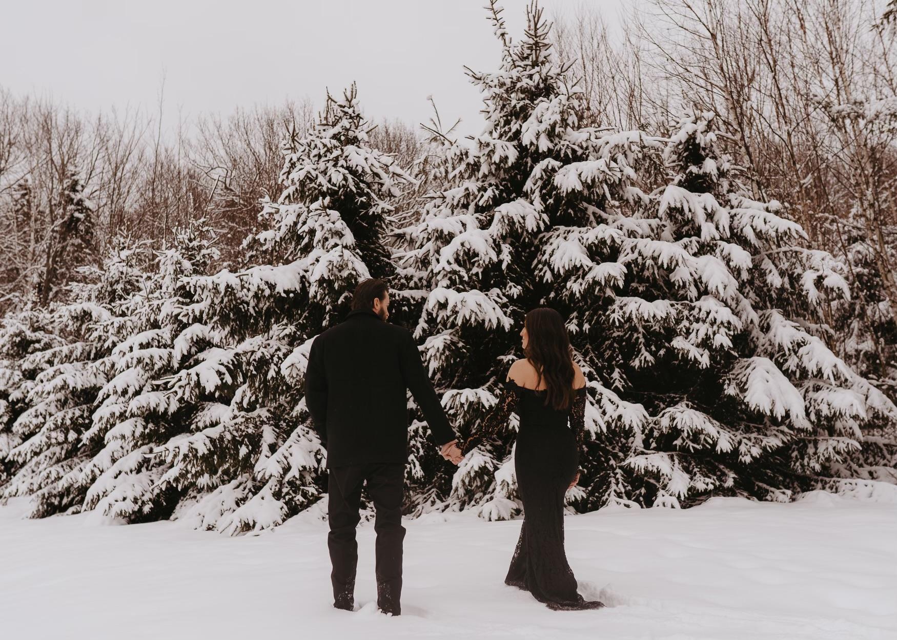 The Wedding Website of teghan baril and nick zrezartsev
