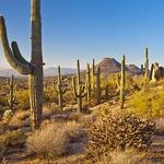 McDowell Sonoran Preserve