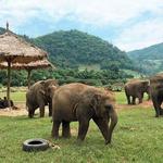 Chiang Mai