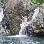 El yunque rainforest tours & transportation