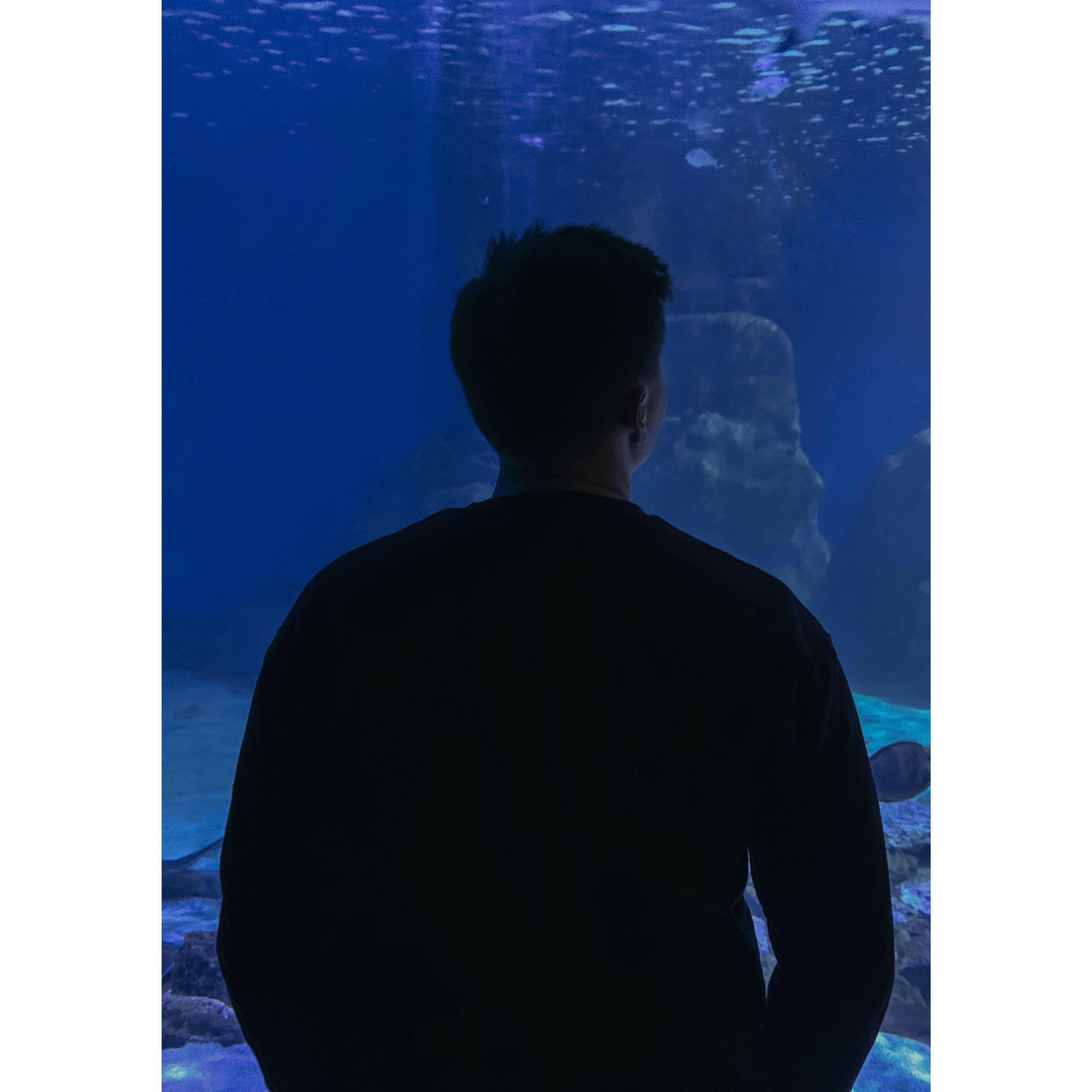 April 4th, 2023. Our second anniversary!! Again, we recreated our first date by going to the aquarium and then eating sushi after for dinner!