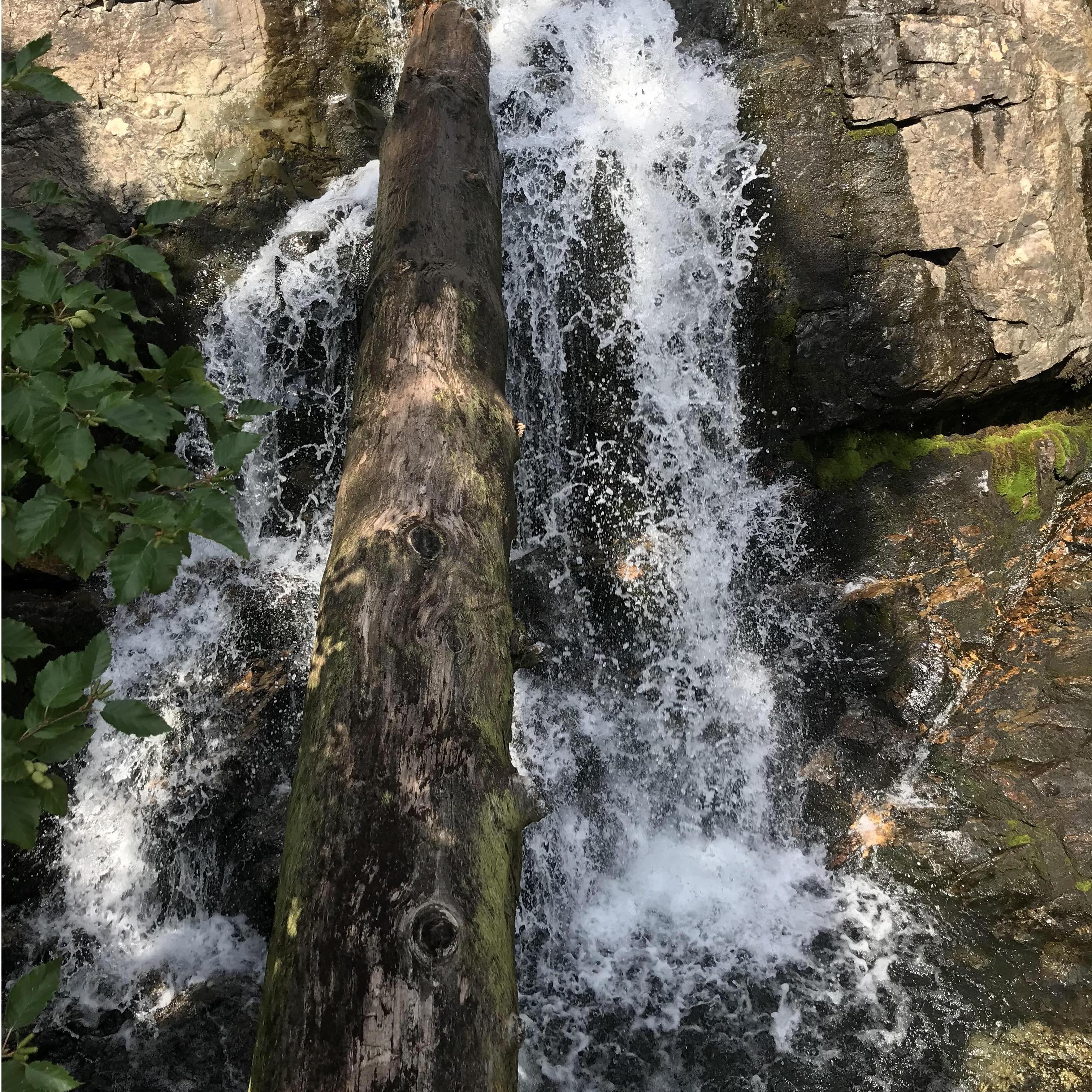 The waterfall Calvin and Breylin swam in right before he asked her to marry him.