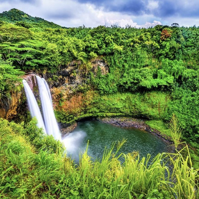 Be our travel guide! 🌴