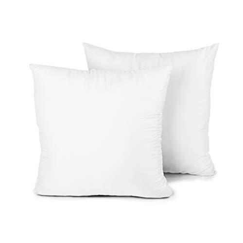 EDOW Throw Pillow Insert, Set of 2 Down Alternative Polyester Square Form Decorative Pillow, Cushion,Sham Stuffer. (White, 20x20)