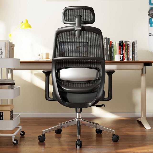 QuelSoft Ergonomic Office Chair, Home Office Desk Chairs, 3D Lumbar Support High Back Desk Chair, Comfortable Computer & Gaming Chair for Office & Home - Black