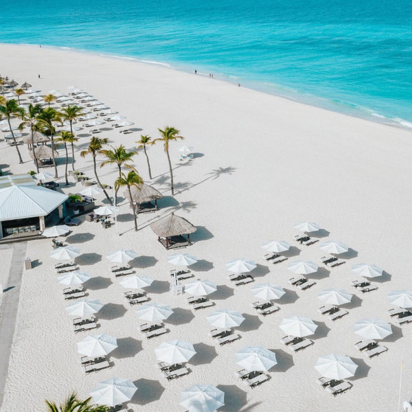 Honeymoon fund - No transaction fee (Venmo)