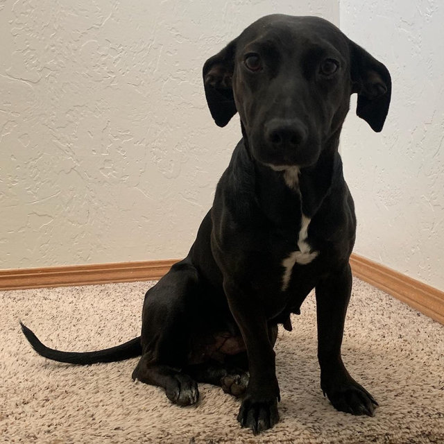 Our Nori Fund