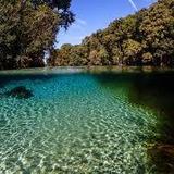 Blue Springs Park