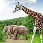 Kruger national park
