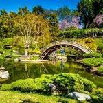 The Huntington Library, Art Collections, and Botanical Gardens