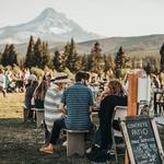 Grateful Vineyards