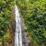 Mānoa Falls Trail
