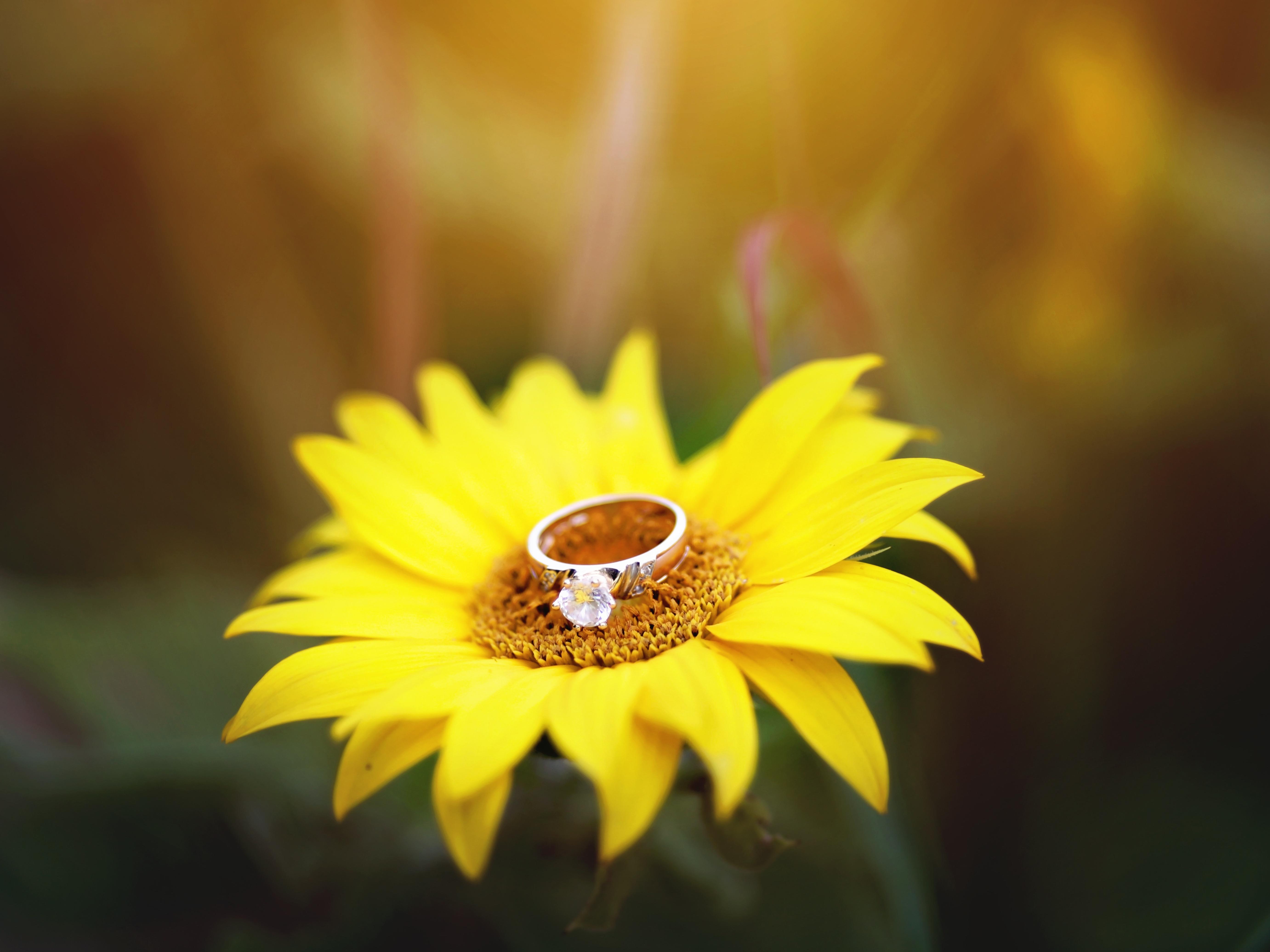 The Wedding Website of Allison Cudoc and Daniel Justice
