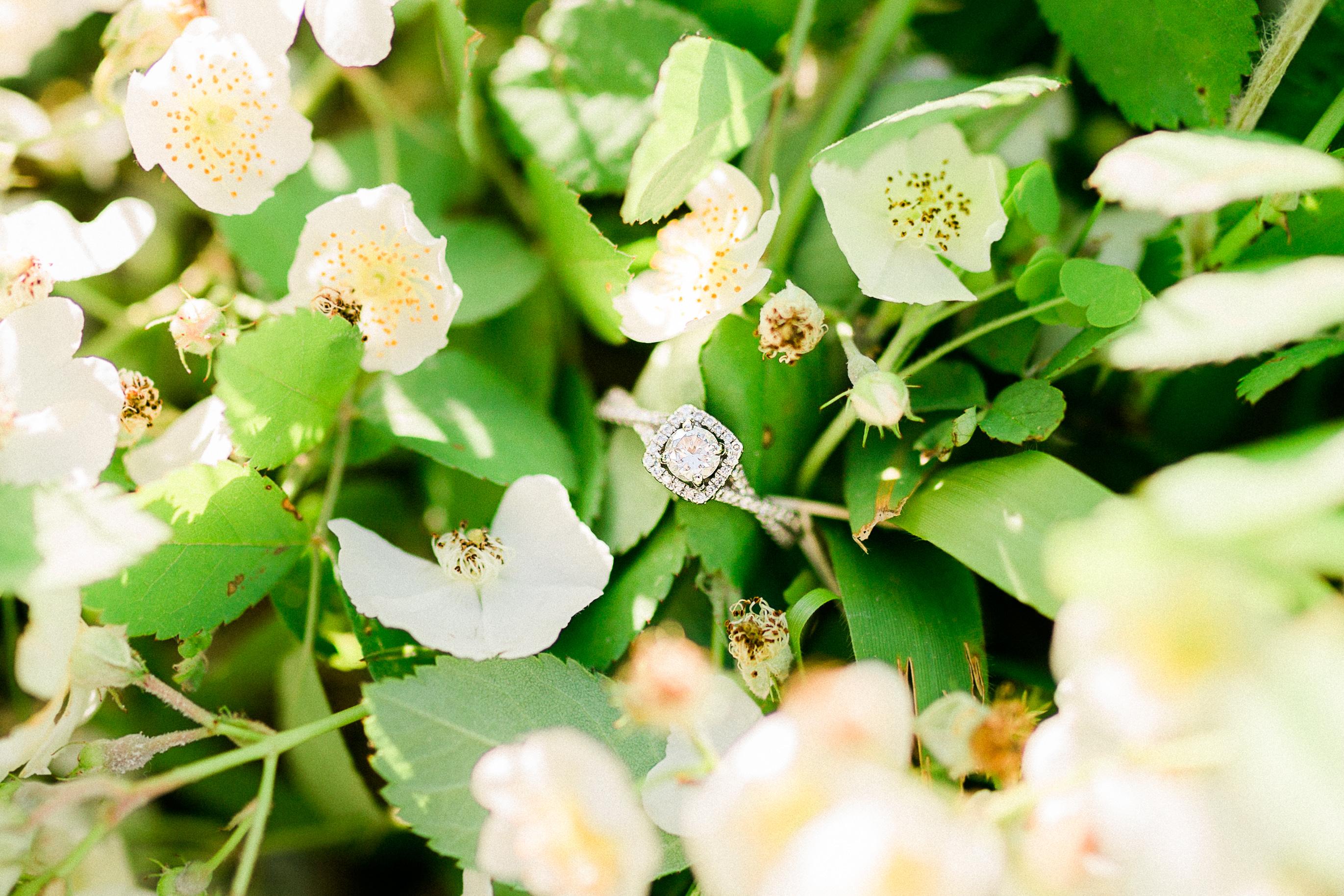 The Wedding Website of Jacie Trimm and Austin Hines