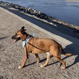 Santa Ana River Trail
